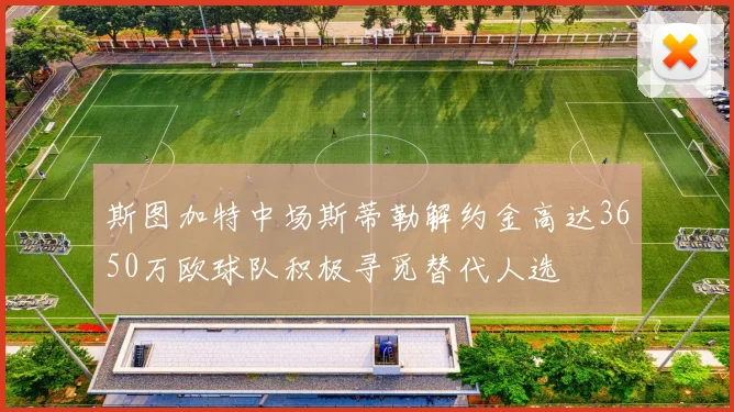 斯图加特中场斯蒂勒解约金高达3650万欧球队积极寻觅替代人选